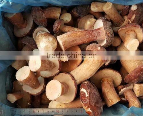 Frozen style boletus edulis whole A grade
