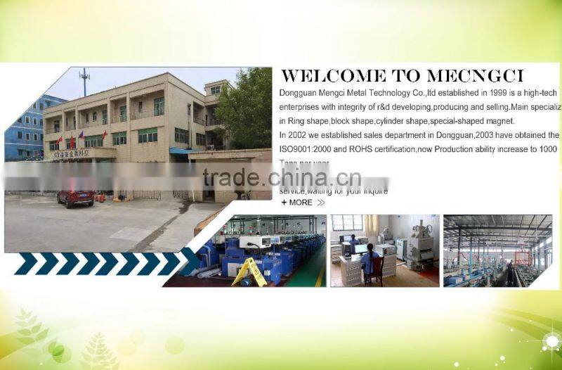 wind turbine rotor magnet