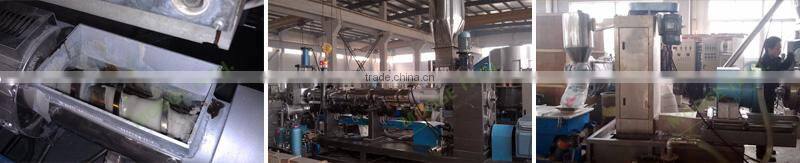 PP PE Plastic Compounding Pelletizing Machine