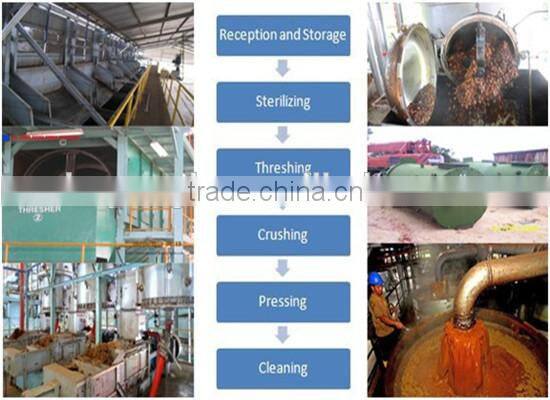 Best factory price oil seeds pressing machine | seed oil extraction machine