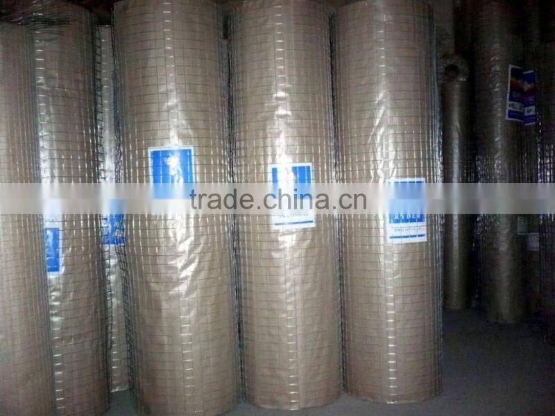 welded wire mesh