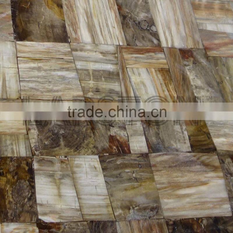 Natural gemstone wood fossil stone petrified wood