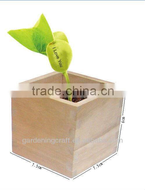 import china products bonsai tree magic growing message beans