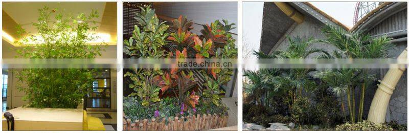 Home Decorative Artificial Bonsai Tree For Sale