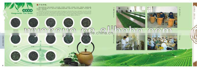 Brewing China green tea gunpowder 9375 zhejiang tea stock 2013