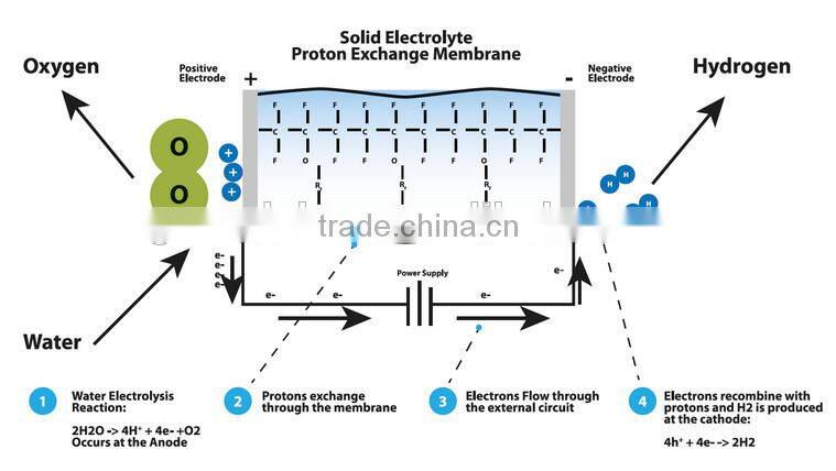 Fuel Saving Hydrogen HHO PEM / SPE Generators Titanium Electrolyzers Fuel Cells For Cars Trucks Vehicles