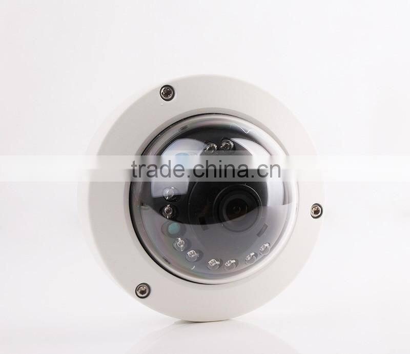 IP66 Dome HD 1080P Network CCTV Camera With ir-cut onvif p2p 12Pcs Leds