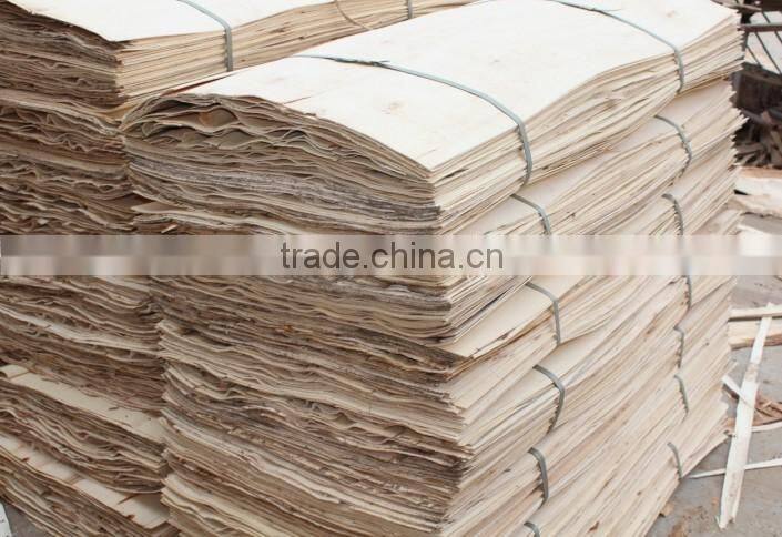 Poplar core veneer for plywood