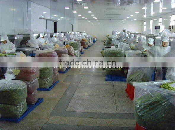 dehydrated potato importer