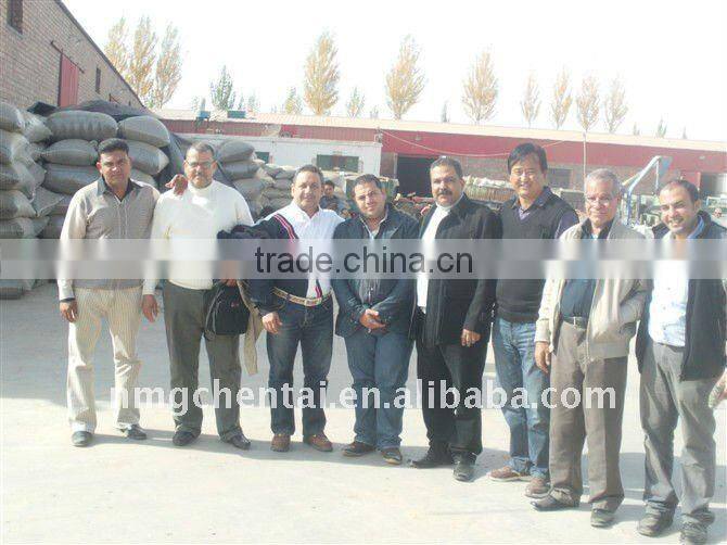 Bird Food Sunflower Kernels