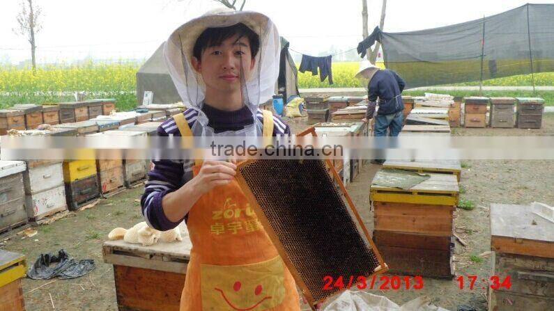 beekeeping collector cheap beeswax for waxing candle beeswax and industry beeswax