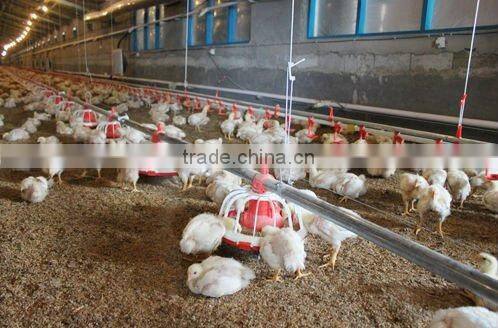 poultry pan feeder for broiler and chicken