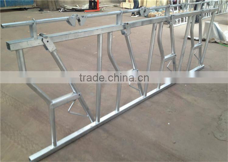 Cattle Head Lock for Dairy Farm