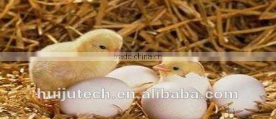 Easy to use! CE approved automatic mini 96 egg chicken incubator HJ-M96