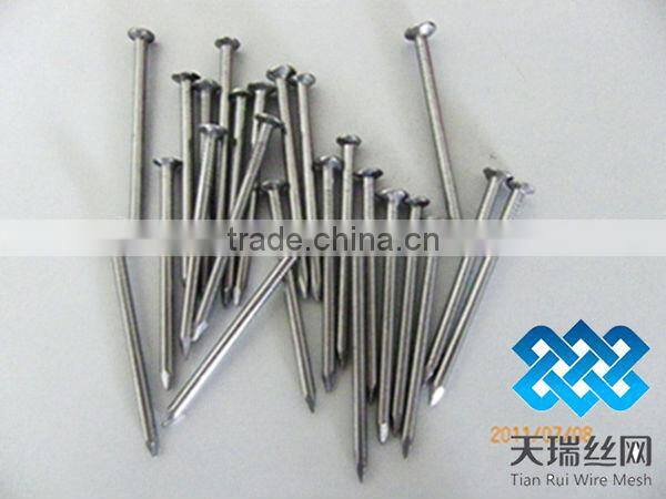 Low price polished/galvanized common nails(factory)