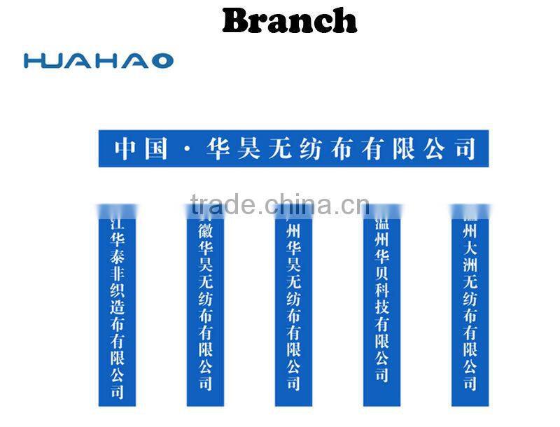 pp nonwoven fabric for wallpaper Hong Kong