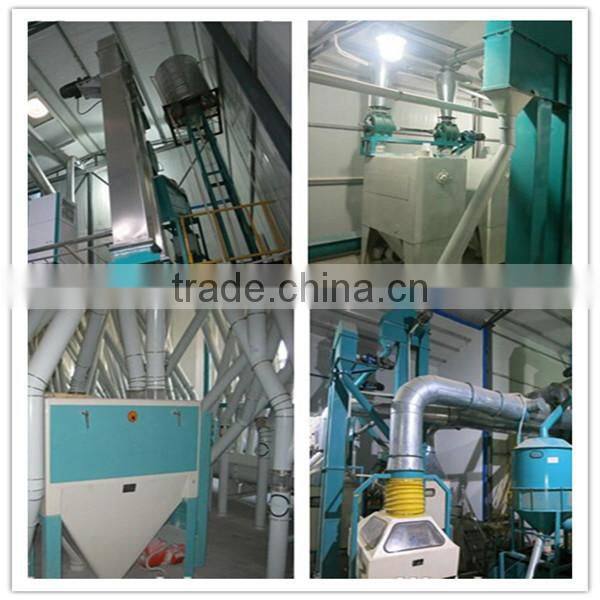 Complete set whole wheat flour machine price for whole meal whole wheat with bran flour milling
