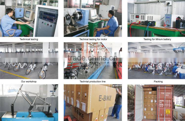 CE 250W 36V12A cheap lead acid Electric Bicycle/scooter