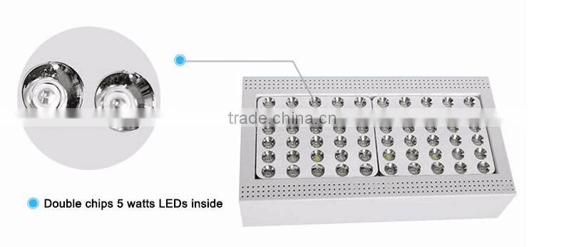 Best price of high intesity high lumens output 300w led grow light for plants grow