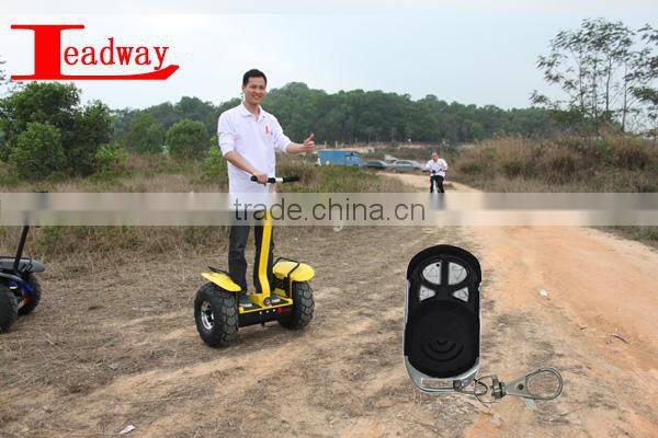 Leadway The tire 19 Motor power 2400W off road best kick scooter for adults(RM09D-T1732)