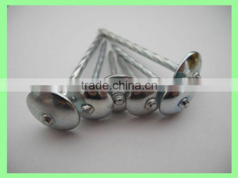 Kenya umbrella roofing nails