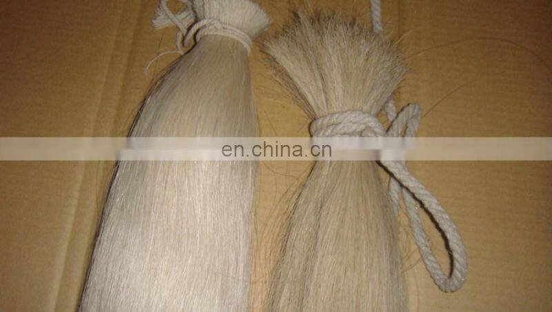 Natural horse root hairs for brush