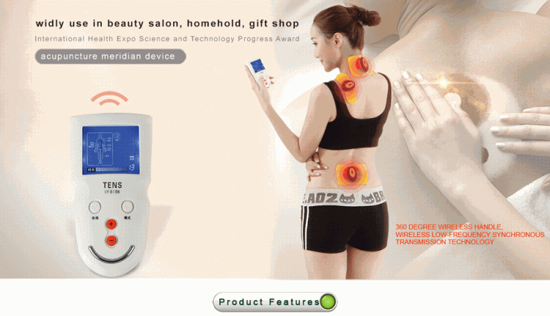 wholesale tens unit physiotherapy apparatus digital meridian therapy massager