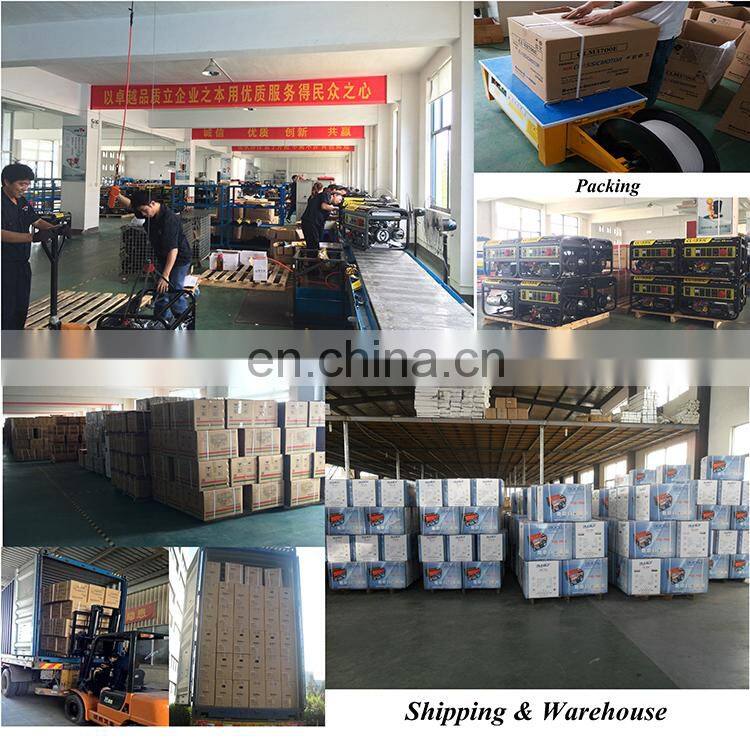 BISON CHINA Taizhou 4kw Strong Frame Portable generador electrico gasolina