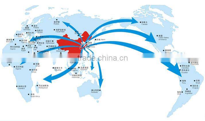 The newest style customized custom Pet Products dog frisbee shanghai