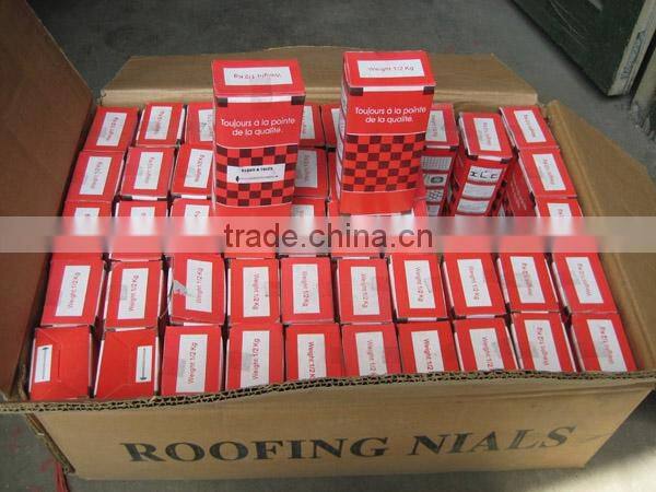 galvanized roofing nails with umbrella head/umbrella head nails /galvanzied roofing nail