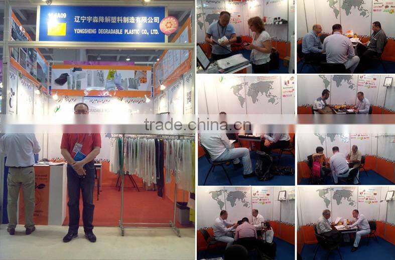 Die Cut Handle Bag, Punch Handle Bag, Promotion Bag