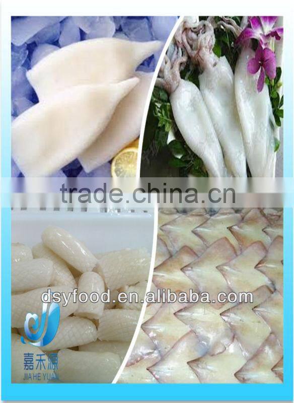 various frozen squid product market