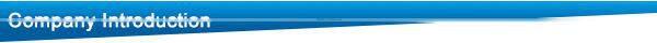 Forpark power tools FP13I-2electric impact drill