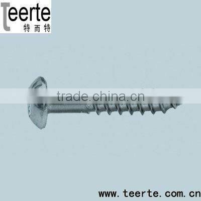 All Kinds of Stainless Steel Screw