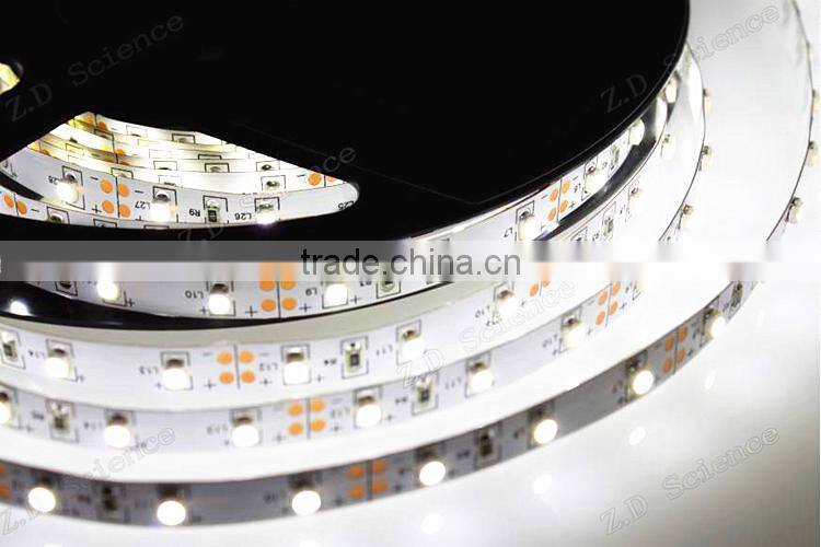 12V Light LED Strip Waterproof Non Waterproof LED Light Swimming Pool Rope Light