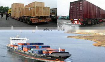 New technic palm oil biodiesel production plant