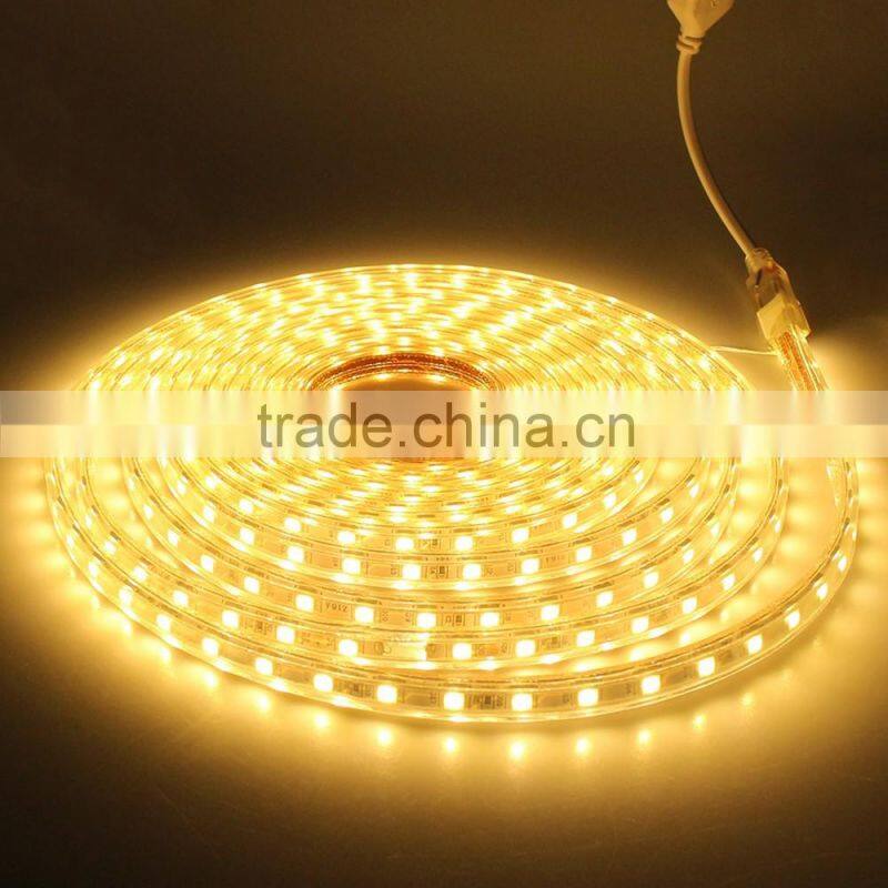 5050 30led/m 220v Flexible LED Strip CE ROHS 2years warranty