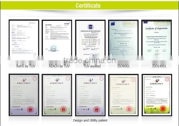 2016 NEWEST window brush squeegy