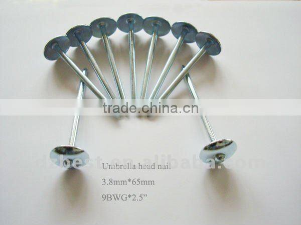 galvanized umbrella head roofing nail
