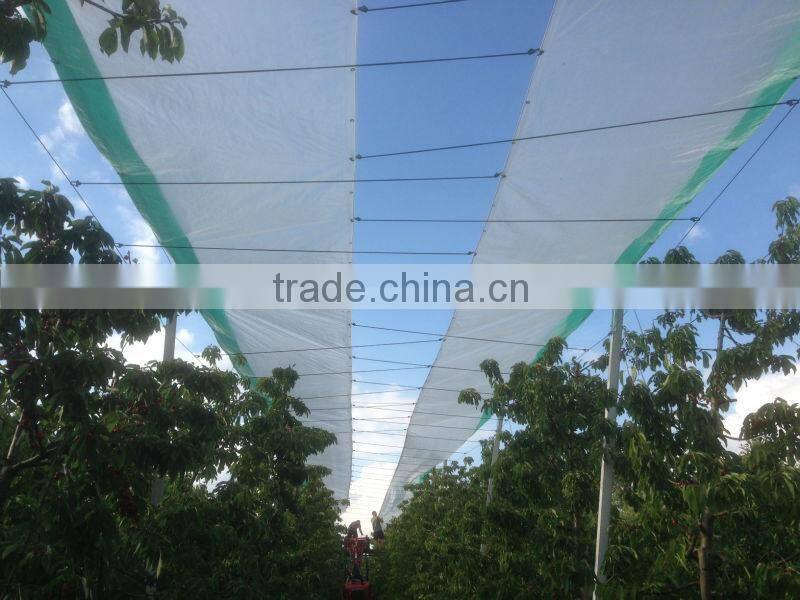 HDPE tarp in rolls for cherry trees rain protection/poly tarps