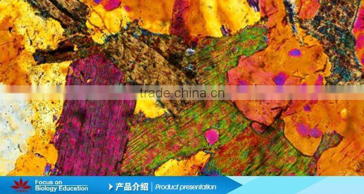 Microscope Prepared Slides ,Rock Slides, Rock Prepared Slides