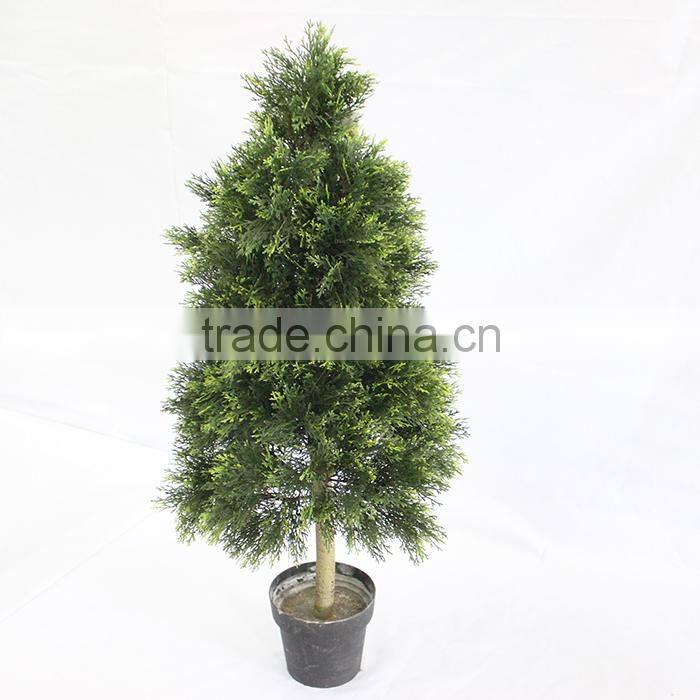 artificial pyramid cedar plant factory