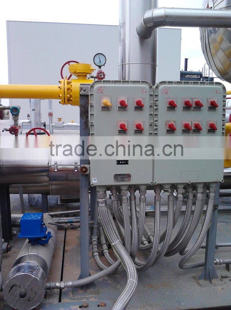 Tank Skid Mounted for natural gas station tank