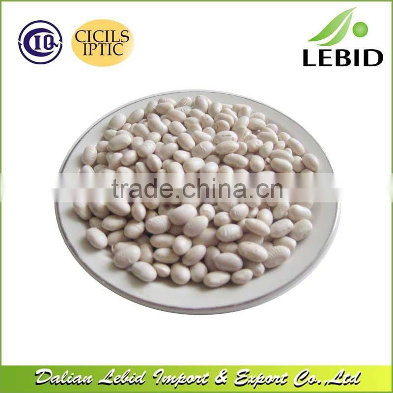 Heilongjiang Origin Japanese Type White Kidney Beans Low Price