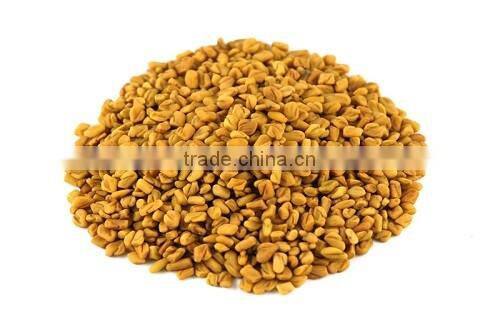 Fenugreek seeds and powder