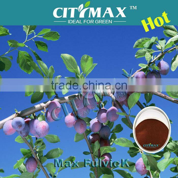Organic Fertilizer 60%FA 15%NPK