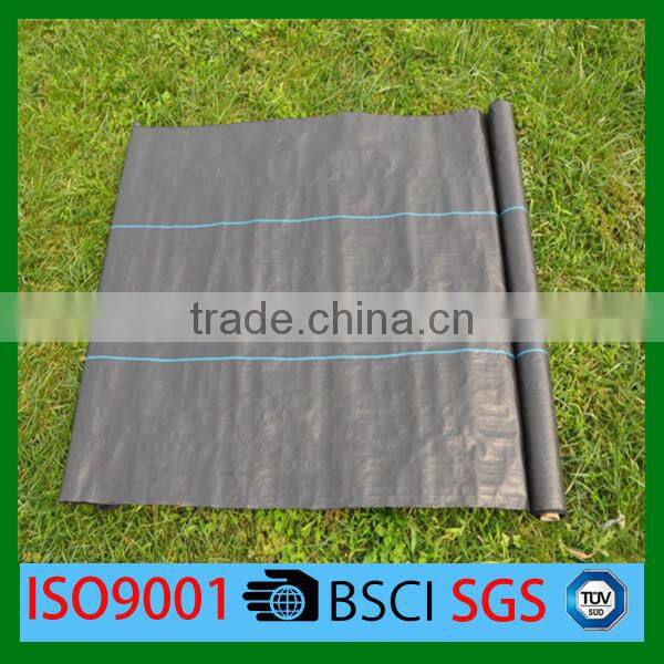 Ground Cover 100% PP non woven fabrics