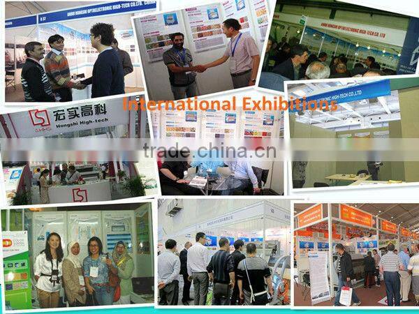 china Anhui Hons+ CCD Betelnut seed color sorter machine