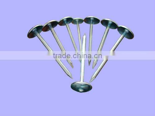 Cheap Raw Material Wire Nails for Construction for sale