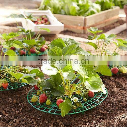 strawberry support 5pc/set